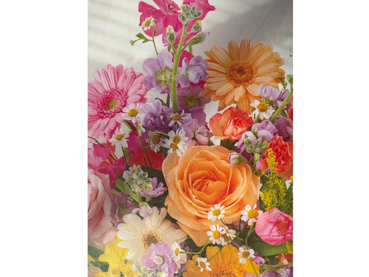 1��28���͏t�炵���u�[�P�ł��B