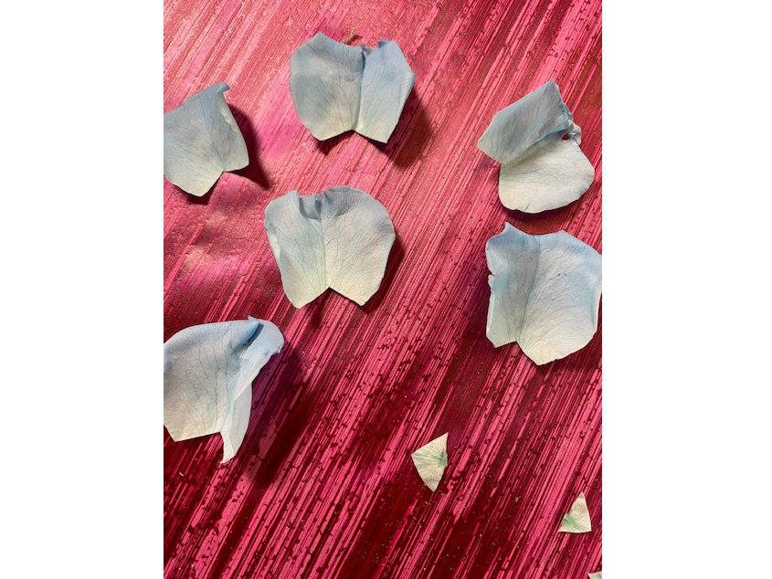 ԂтɃn̎ɃnT~Ő؂荞݂܂B