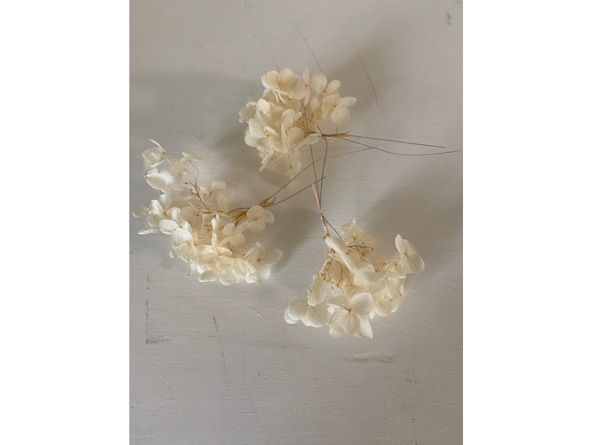 vU[uht[̃AWTCɂăCO܂B