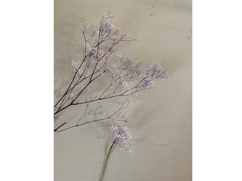 vU[uht[̃JX~\EɂăCO܂B