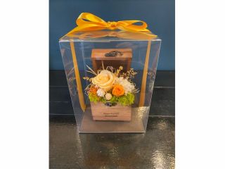 通年体験受付可能なデザインです。色の指定はできかねます。