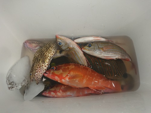 {ESҌܖڒނɂȂ܂B@ނށF AJn^EJn^EmRM_CEEJnM@@TvCYŃtGtL_CQbgB