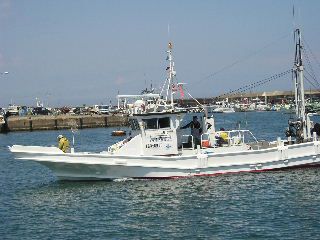 初心者大歓迎 冬はヒラメ 夏はショウサイフグ 釣り船乗船プラン トラベルコ