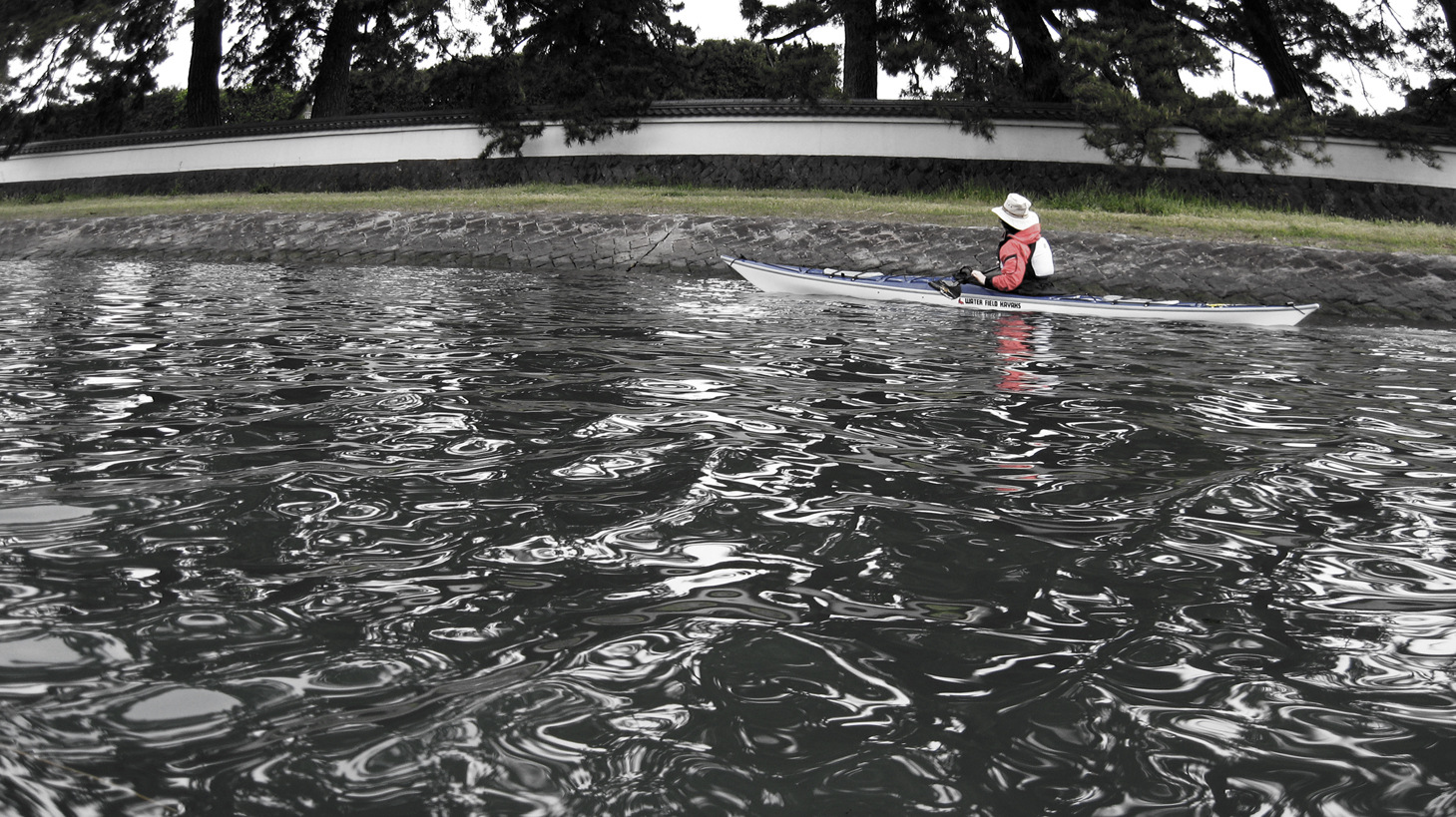 ͈̎xɈ͂܂ꂽOpBBÂԔǂ⏼̖؂𒭂߂Ȃ瑆i݂܂B