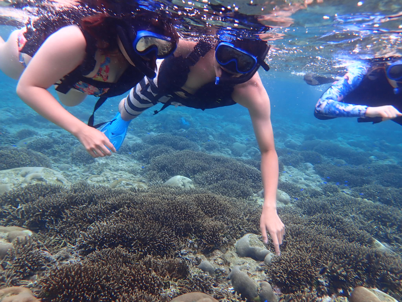 ̓̓VECɂăxXgȃVm[POX|bgւAꂢ܂I