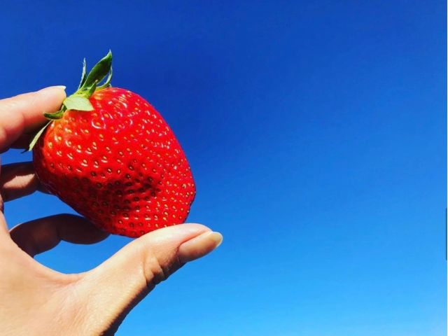 ̃XgXyEî߂ɁA[_͉̂y𒮂ĈĂĂ܂