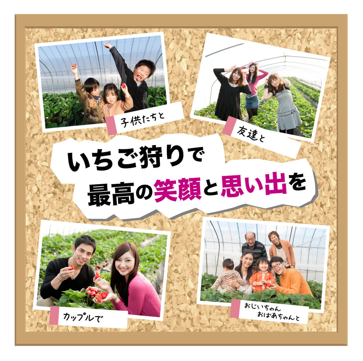 ƑAFlAJbvŁI@ЂЂX҂Ă܂I 