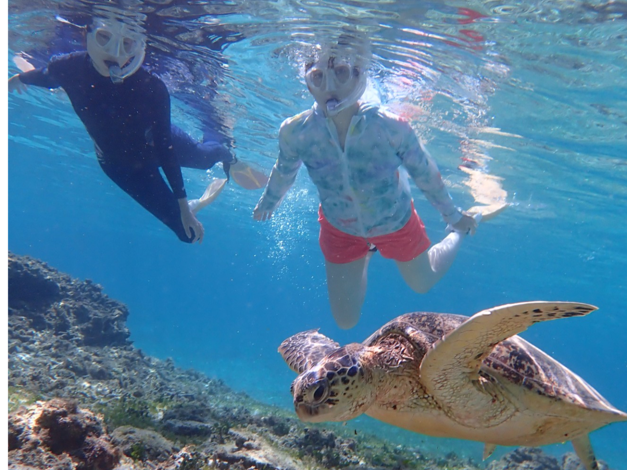 ]̃ANeBreB[IIX̃Vm[PcA[ł͊CTƏo܂ŋAȂbg[ɁIi΁jjȂł^t[gɂĈړ܂̂ŊyI