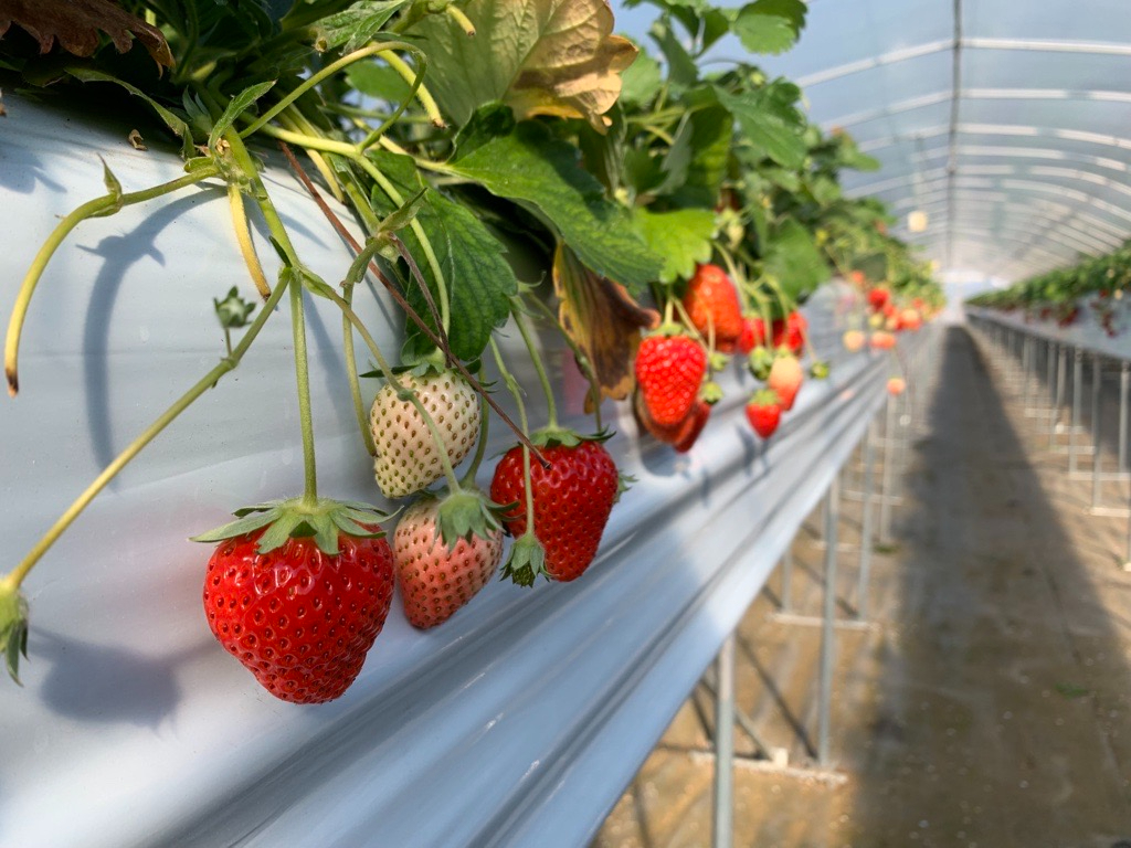 6�i��H�ה�׏o�����Ⴄ��