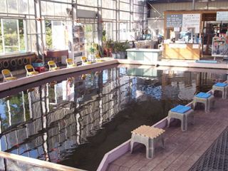 君津 ドーム釣り堀 小池 魚のサイズが小さく 数もたくさん釣れるので初心者の方やお子様 ご家族でも楽しめる池となっています フィッシュランド丸宮 じゃらん遊び体験