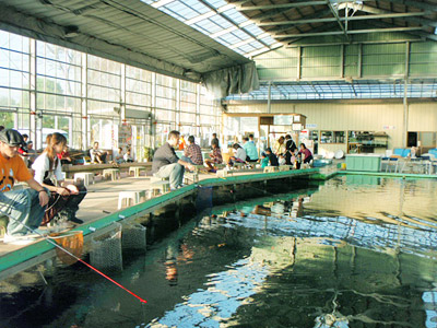 【君津・ドーム釣り堀】大池プラン★40cm前後の鯉を中心に、70cmオーバーの巨...