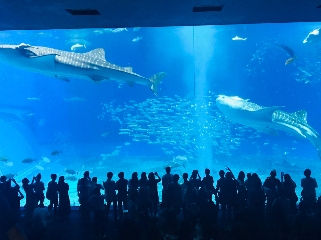 lCόX|bgCق̃`PbgZbgɂȂȃv