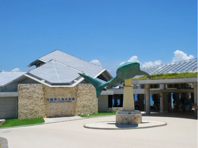 お得な美ら海水族館チケット付きプラン!!