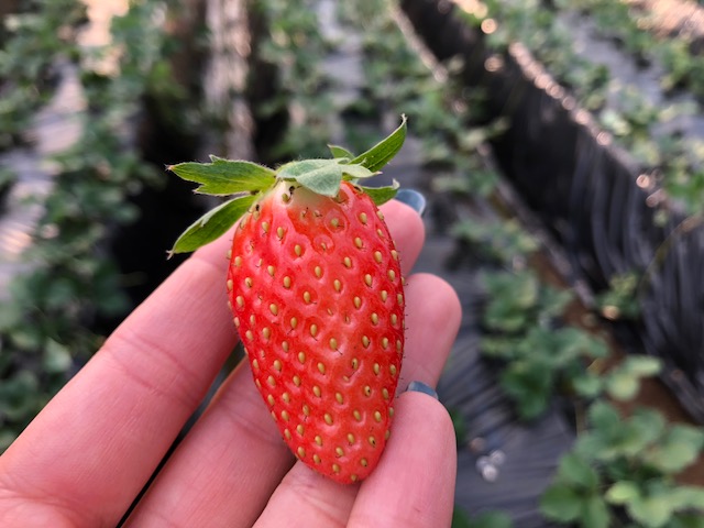 �������C�`�S�����ĊÂ��͕����Ă��܂���