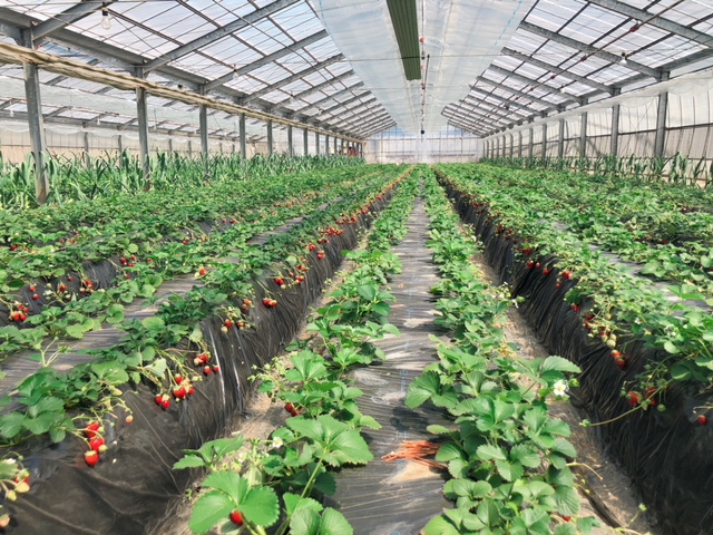 �A���n�E�X�Ȃ̂łƂ��Ă��L���ĊJ�����I50m�̒�����Ƃ��߂ł��邩����