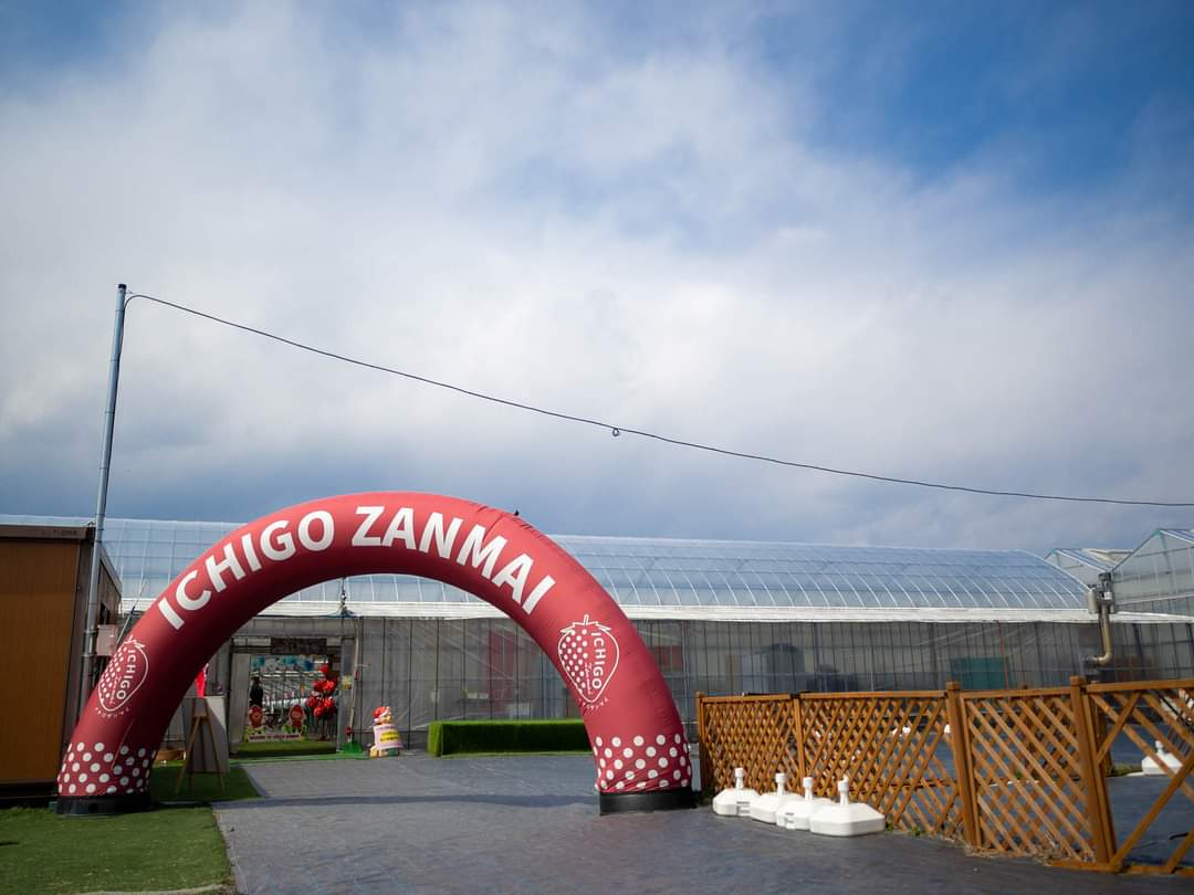 �傫��ICHIGOZANMAI�A�[�`�ł��o�}��(*'��'*)�����ł̎ʐ^�B�e����l�C�I�I