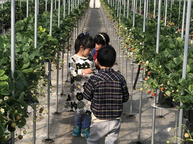 お子さんも楽しめる♪