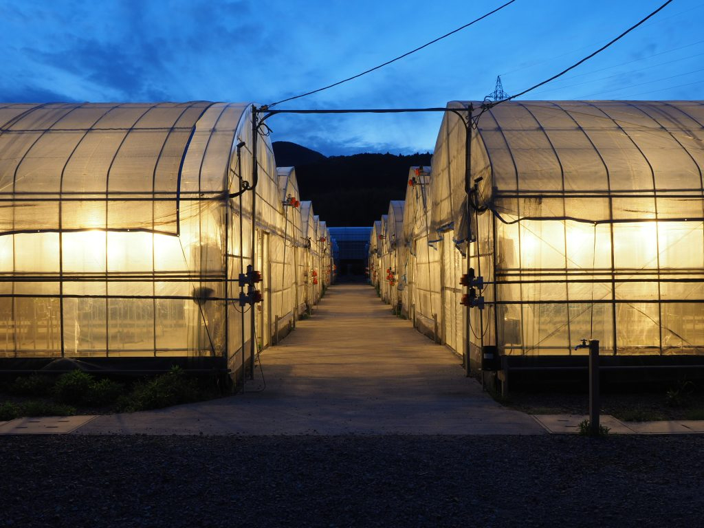 iC^[cƂ\ȂƂA񂢂t@[ό_̓