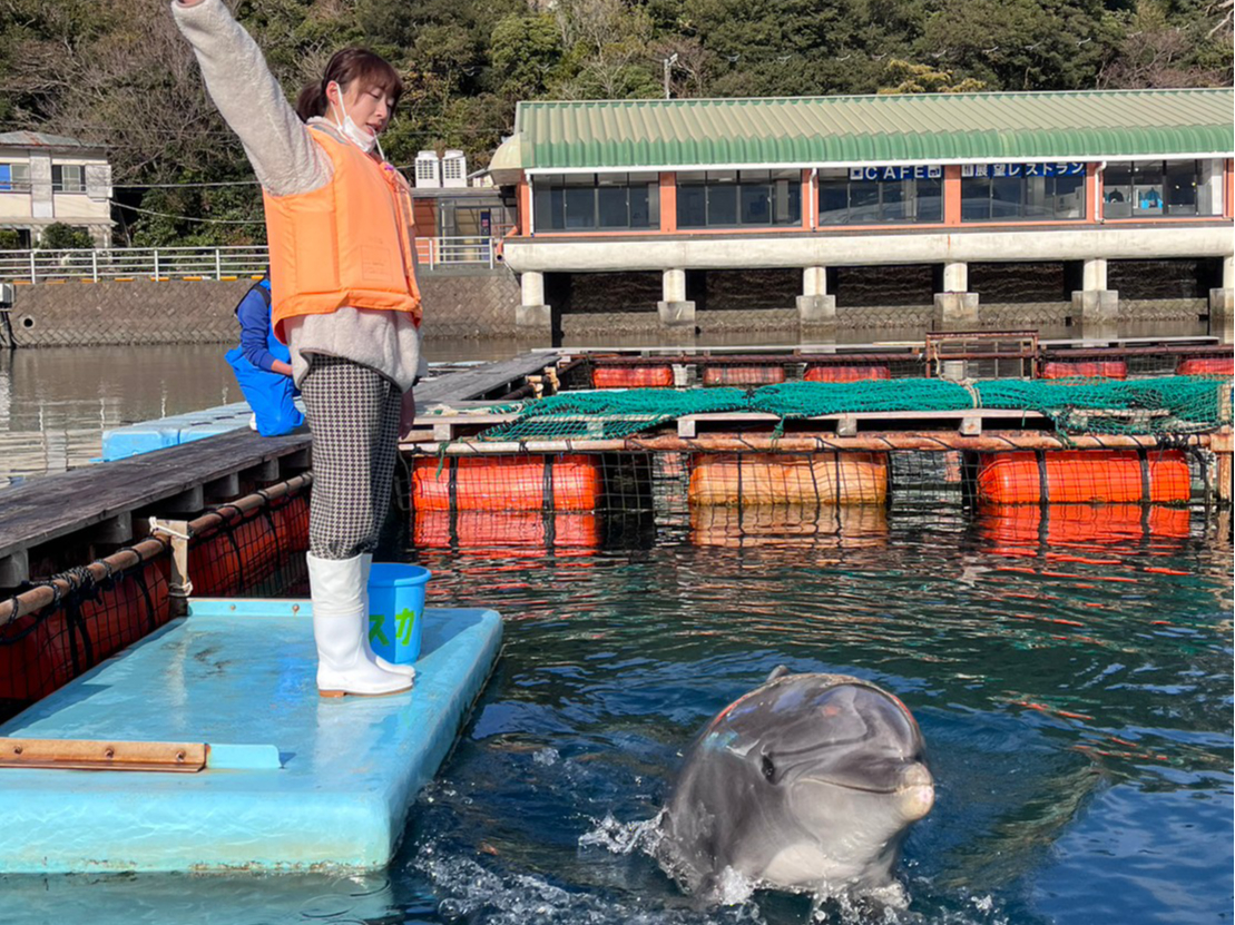 水族館のイルカの飼育員 イルカの飼育員体験♪】「わくワーク！」夢を持つお客様にピッタリの