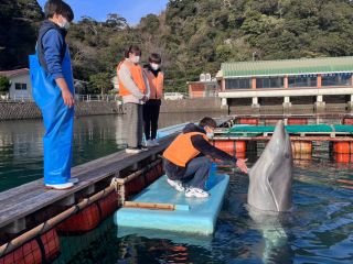 ご家族、グループ 貸し切りでイルカとのふれあいを楽しみませんか
