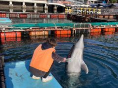 特別にイケスに入り、気分はイルカの飼育員さん♪