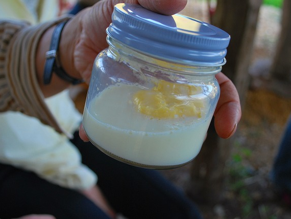 山の放牧地を元気に歩き回って暮らすジャージー牛の生クリームからつくるバター★