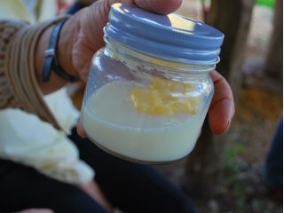 山の放牧地を元気に歩き回って暮らすジャージー牛の生クリームからつくるバター★