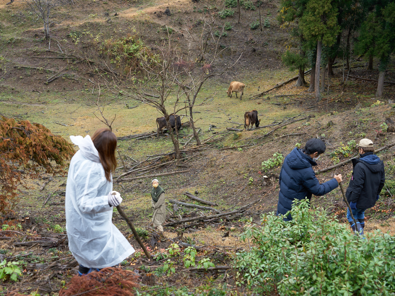 傾斜や障害物もある山の放牧地。子供だけでなく大人もワクワクしてきます。