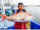 こんな大きな真鯛が釣れるかも!?