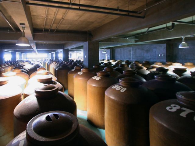 古酒蔵を見学した後の泡盛の試飲はまた格別です!!