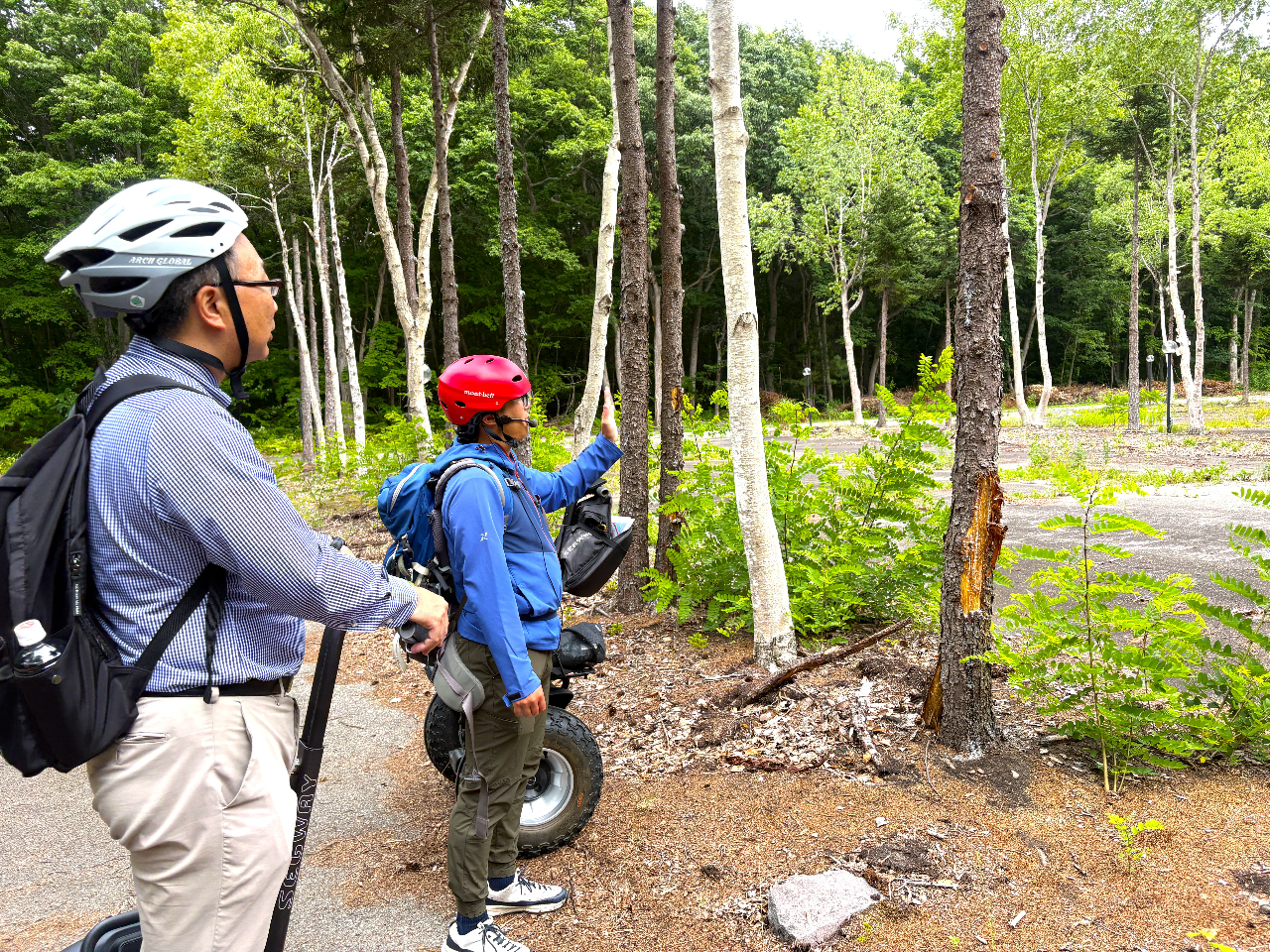 ガイドが見どころポイントを伝授
