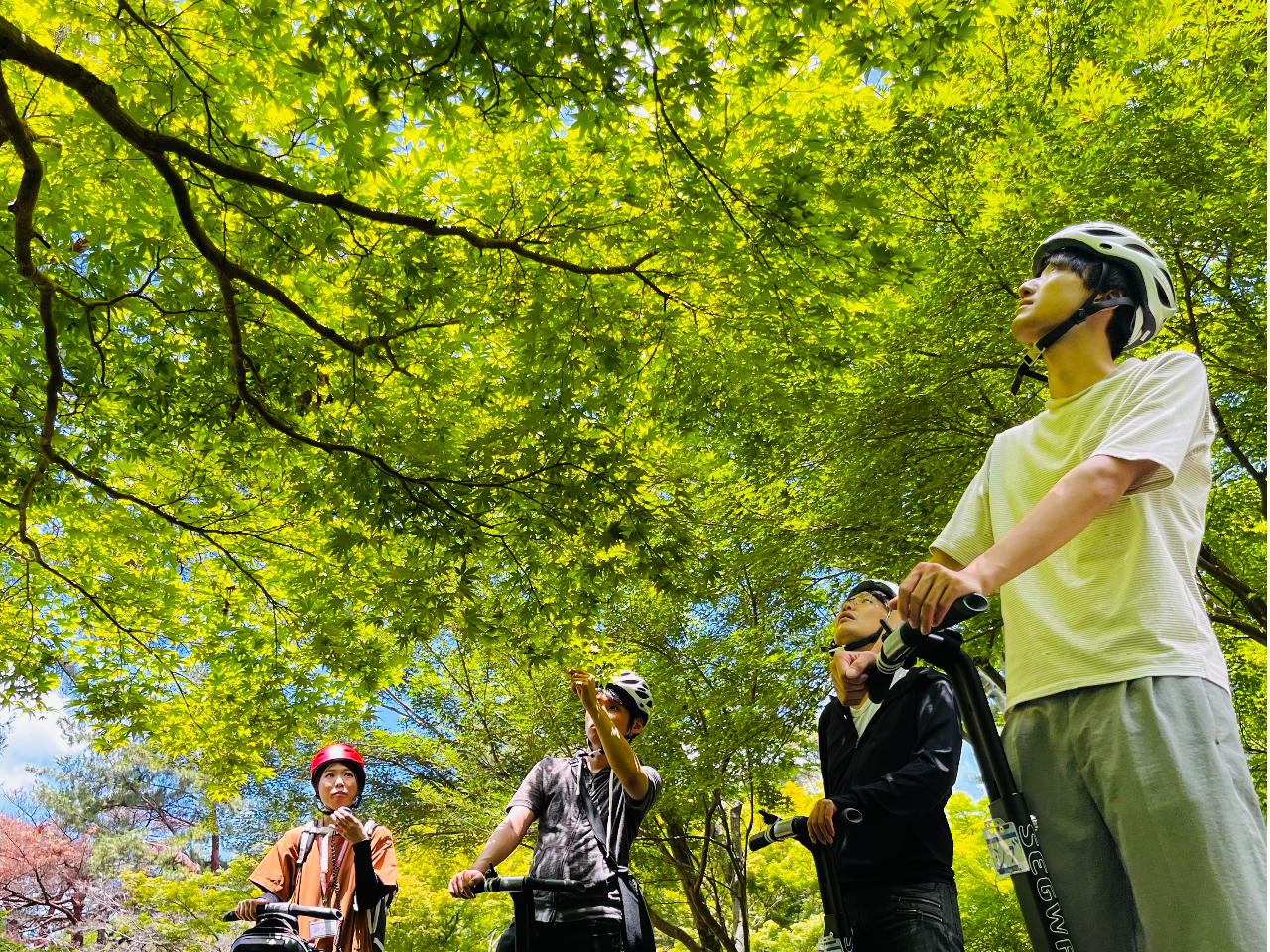 ���i�͌������Ă��܂������ȐX�ь����̂������낳�𔭌����Ă݂܂��傤�I