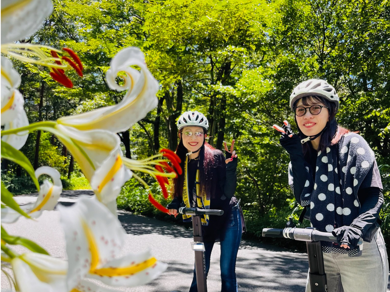 �ړ����y�����Z�O�E�F�C�Ȃ�A�L�������̈ړ������R����