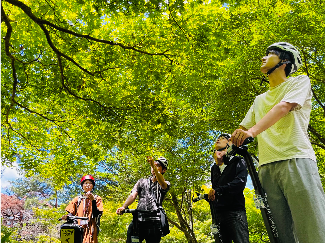 i͌Ă܂ȐXь̂낳𔭌Ă݂܂傤I