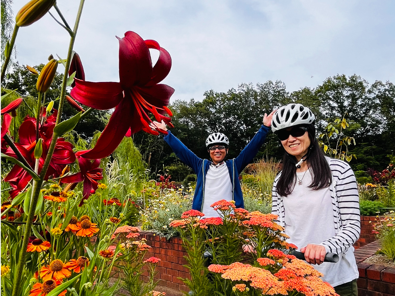 ���i�͌������Ă��܂������ȐX�ь����̂������낳�𔭌����Ă݂܂��傤�I