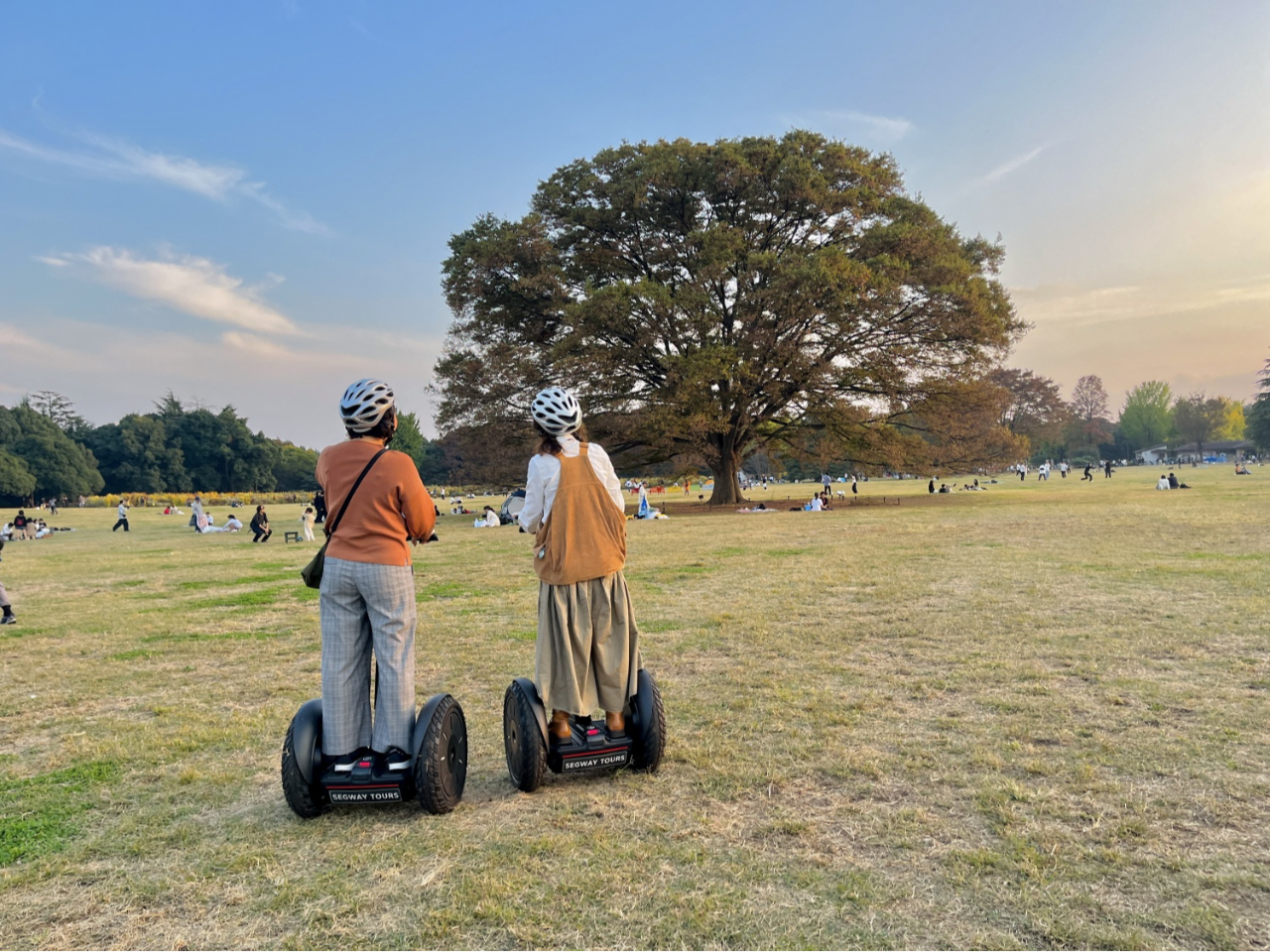 �L��ȏ��a�L�O�������Z�O�E�F�C�ŋ삯���낤�I