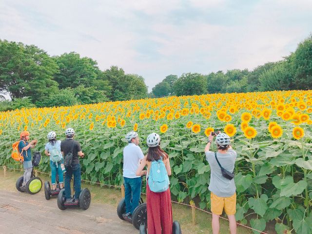 女性にオススメ 東京 立川 夏真っ盛り 緑豊かな公園 を風を感じながらセグウェイで駆け抜ければ気分爽快 都内唯一の常設セグウェイツアー 都心からのアクセスも良好です 昭和記念公園セグウェイツアー じゃらん遊び体験 女性にオススメ 東京 立川 夏真っ盛り 緑豊かな公園 を風を感じながらセグウェイで駆け抜ければ気分爽快 都内唯一の常設セグウェイツアー 都心からのアクセスも良好です 昭和記念公園セグウェイツアー じゃらん遊び体験