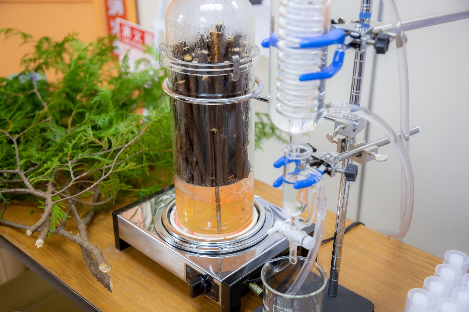 名古屋の香水作りランキングtop1 じゃらんnet