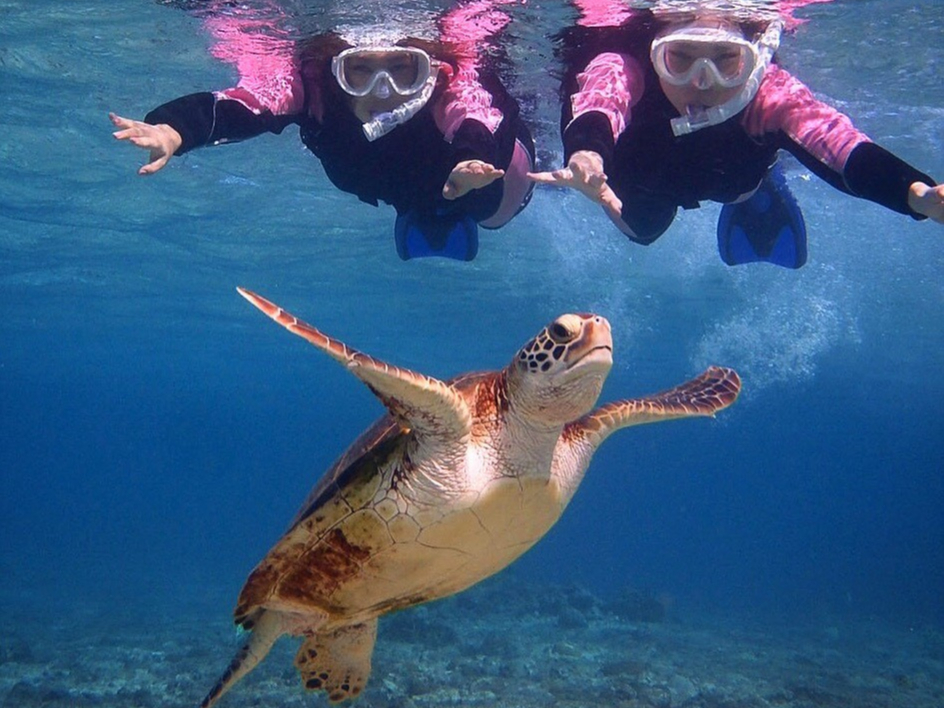 22年再開予定 宮古島 海のアイドル うみがめ探索シュノーケリングツアー 写真付き 女性にオススメ 瀬底ビーチマリンクラブ宮古島店 じゃらん遊び体験