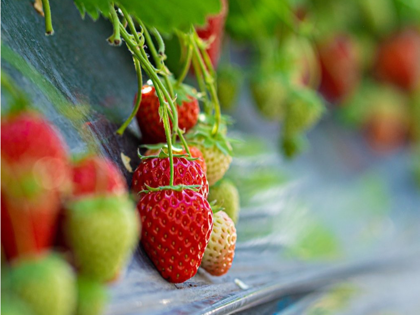 Ă45NByk͔|Ȃł͂́A̐[ł