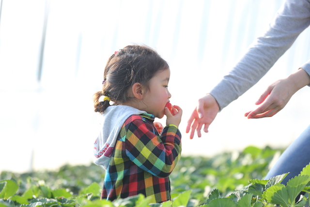 ���ɓ���Ă����S�ȗL�@�엿�ւ̂������I���������q�l�������ꂳ������S�ł���