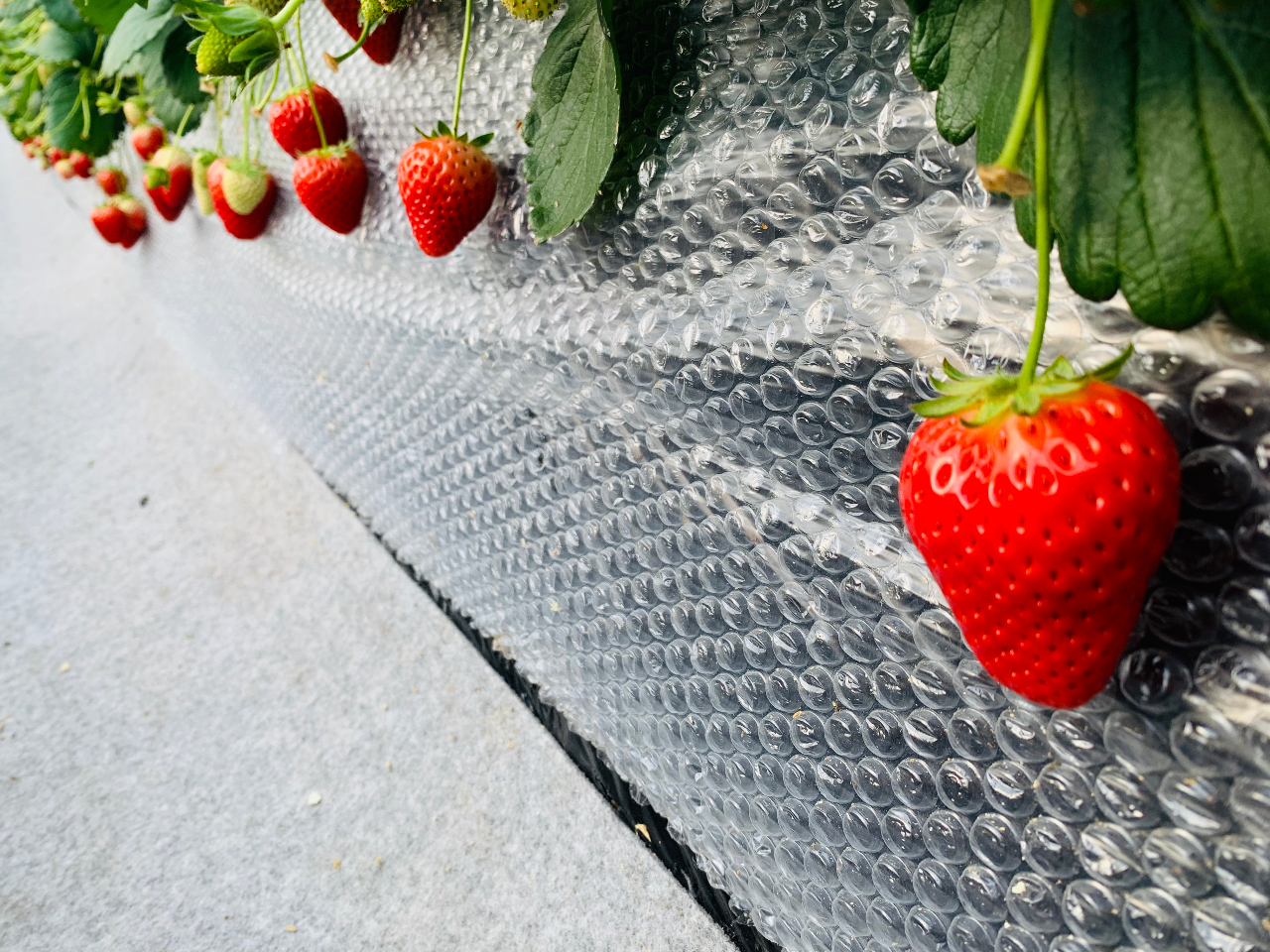 �X�J�C�x���[�͏����Ȃ��悤�ɁA�ɏՍނ�ݒu���Ă���܂�(^^)