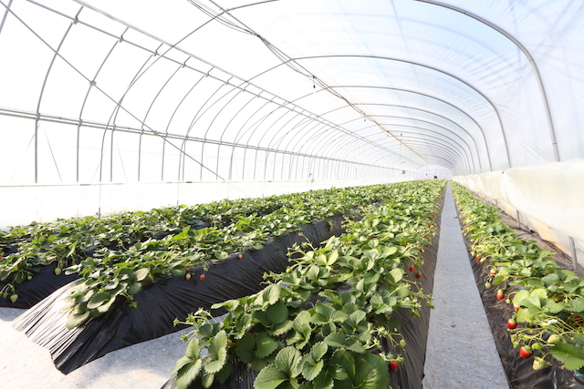 �n�E�X�̒��͂���Ȋ����ł��B�����₷�����l���ĉ��ɂ̓}�b�g��~���Ă��܂��I