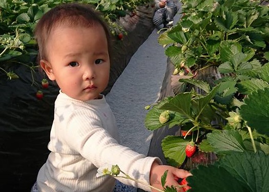 ���q�l���]��ł�����Ȃ��I�n�E�X�̒��ɂ̓J�[�y�b�g��~���Ă���܂���