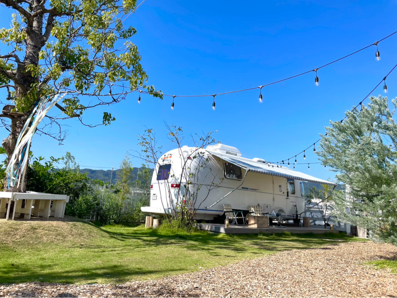 _ƒcJtF@BIRD CALL FIELD