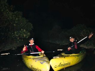 夜のマングローブはスリル満点!大冒険にくりだそう!