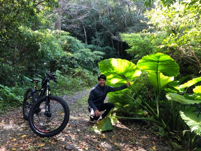 道中はたくさんの亜熱帯植物が!