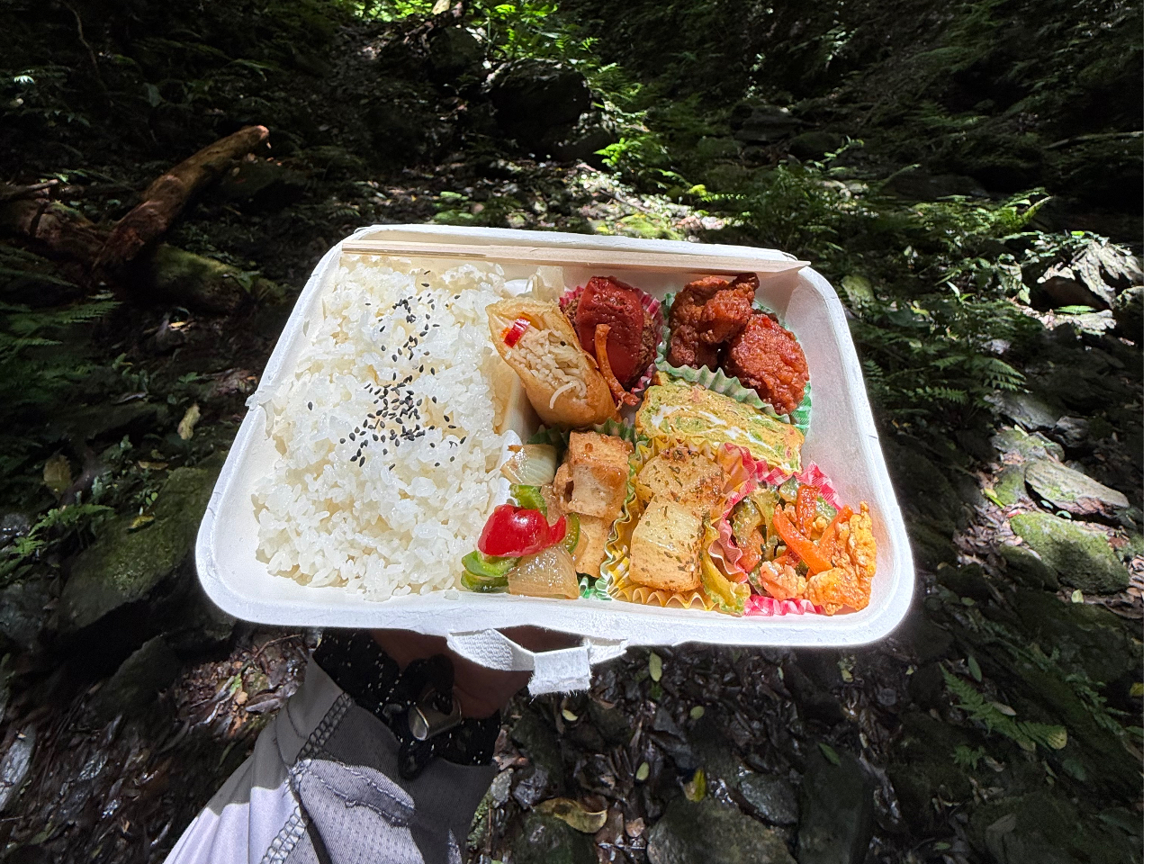 さぁお昼ご飯! 島のお野菜など”地産地消お弁当”をご用意!綺麗な海辺で、川辺で、森の中で。