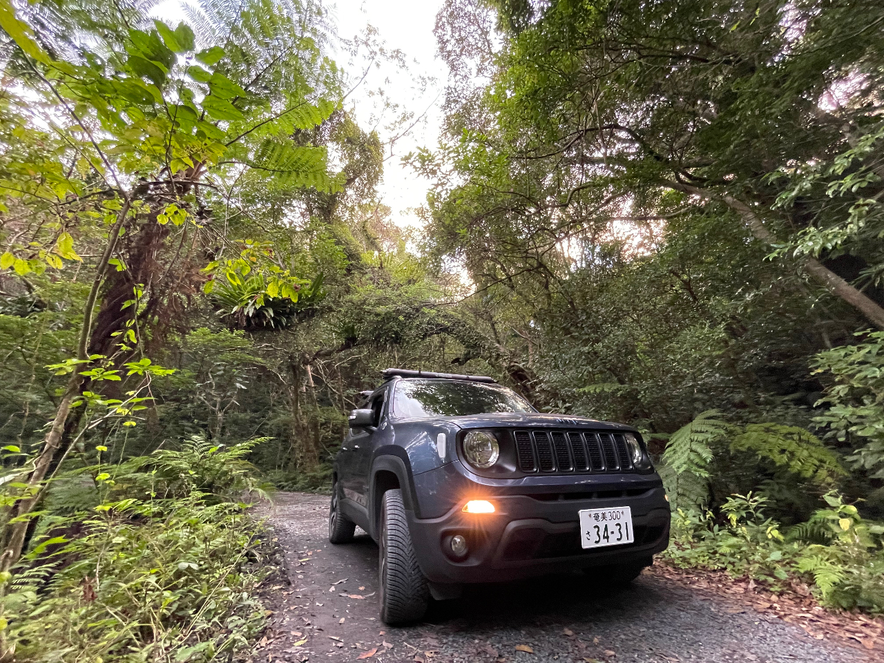 nCubgJ[ŐBւ̕Słył΂ƁOO