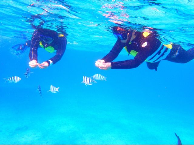 青の洞窟 ボートで行くシュノーケル 沖縄県恩納村 無料送迎あり オーシャンアイランド沖縄 じゃらん遊び体験 青の洞窟 ボートで行くシュノーケル 沖縄県恩納村 無料送迎あり オーシャンアイランド沖縄 じゃらん遊び体験